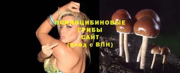 ешки Алексеевка